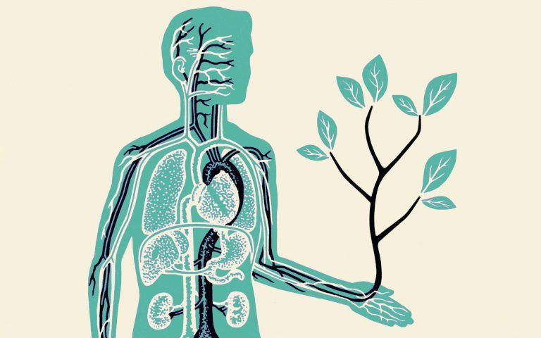 Dosage CBD : combien de fleur ou de résine pour commencer ?
