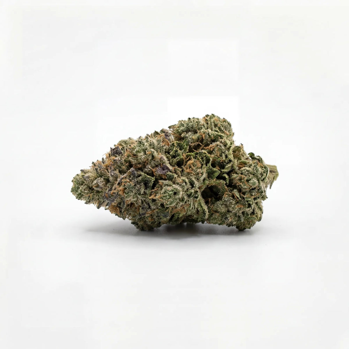 Fleur Amnesia indoor, têtes résineuses vert clair, Piatella