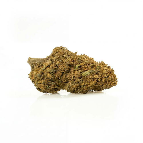 Fleur Cali Haze indoor, têtes allongées résineuses, Piatella