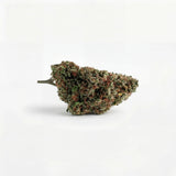 Fleur Critical Berry USA indoor, têtes denses, Piatella