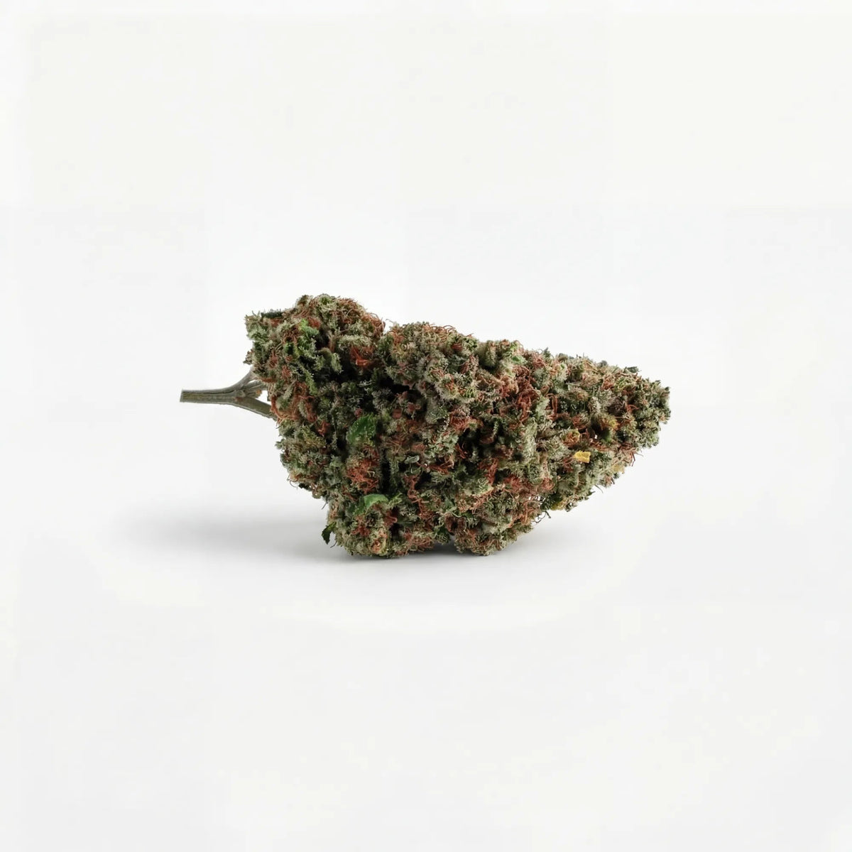 Fleur Critical Berry USA indoor, têtes denses, Piatella