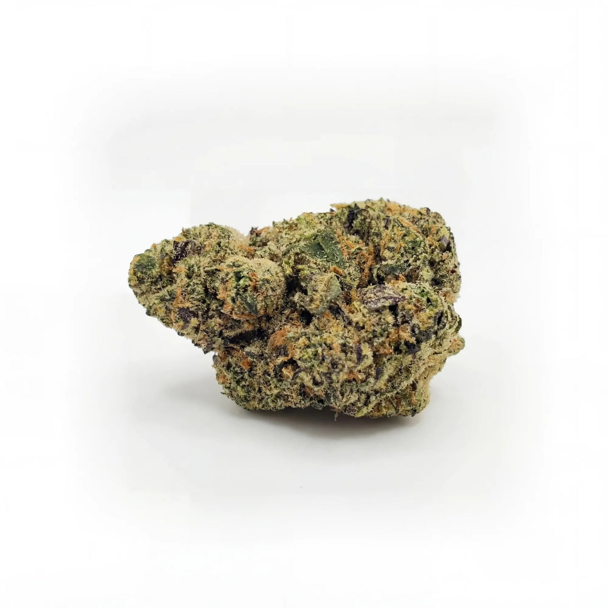 Fleur Cookies Gelato indoor, têtes denses violacées, Piatella