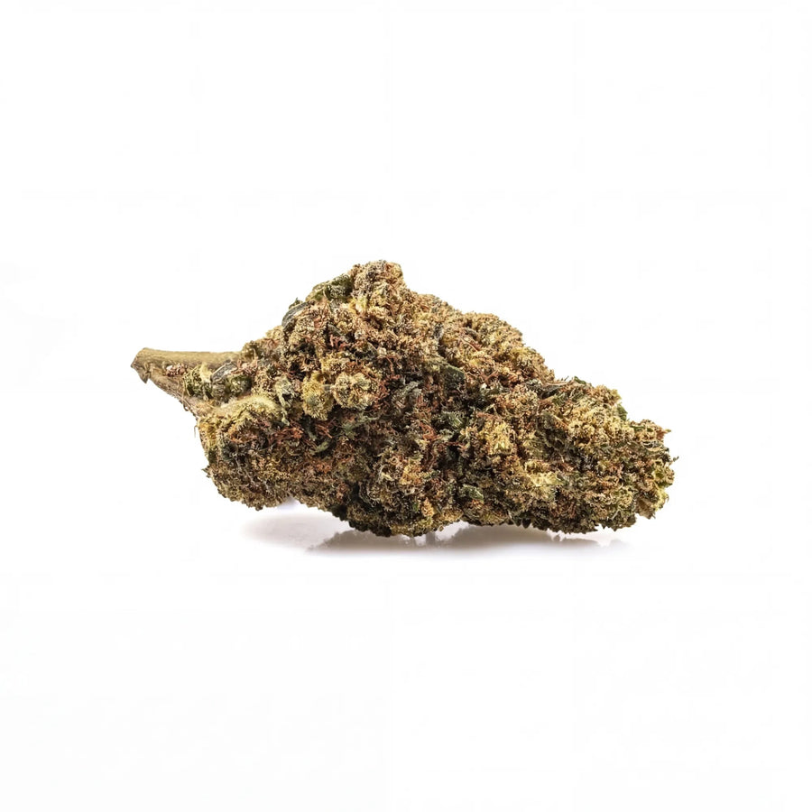 Pack Découverte Fleurs CBD indoor 3 x 3 g