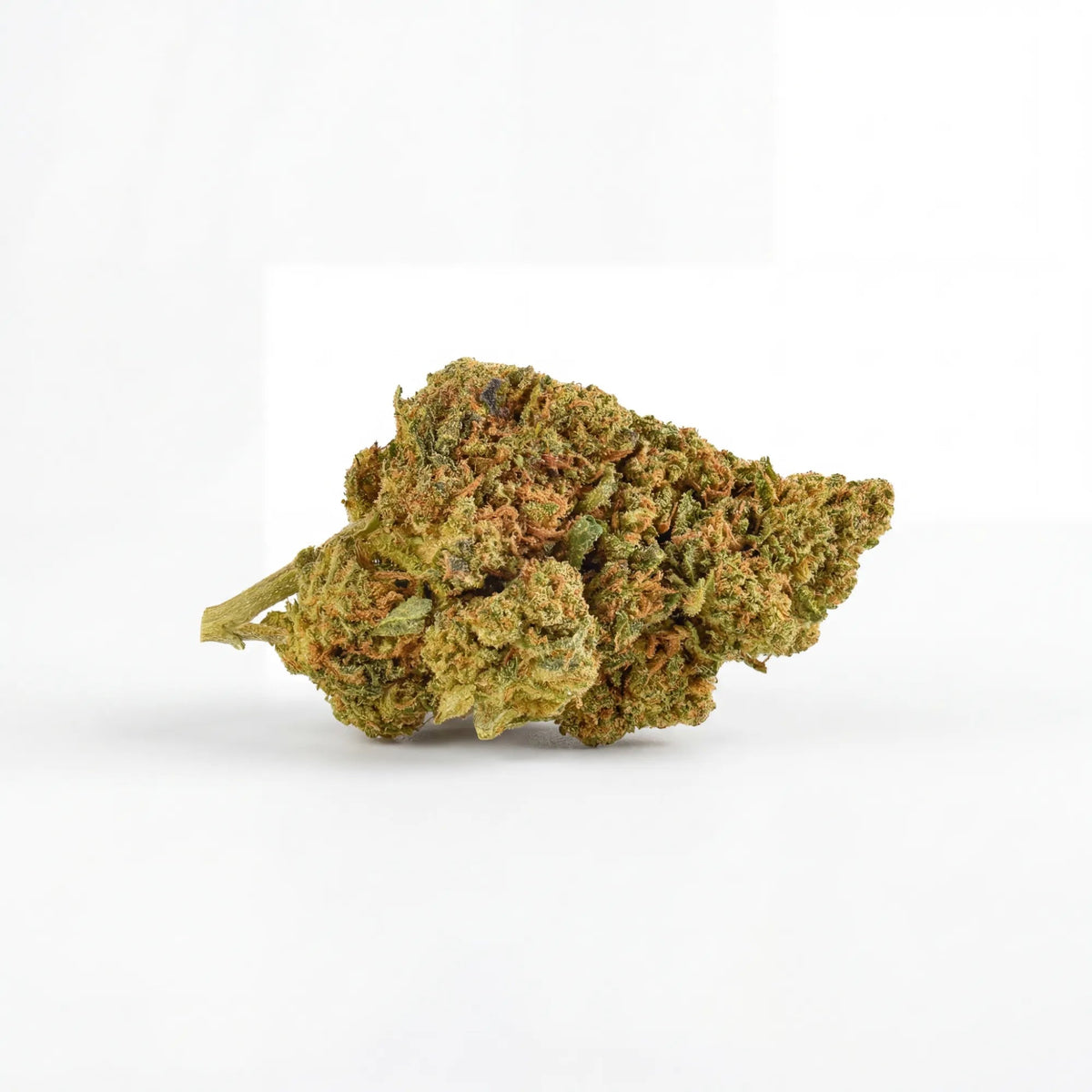 Fleur Jamaïcan Strawberry indoor, profil fraise, Piatella