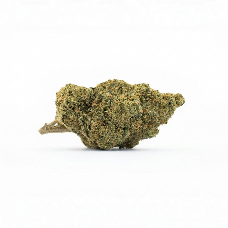 Fleur Gorilla Glue indoor, têtes résineuses et collantes, Piatella