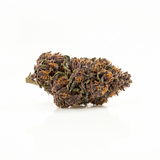 Fleur Purple Haze indoor, têtes violettes aux pistils orange, Piatella