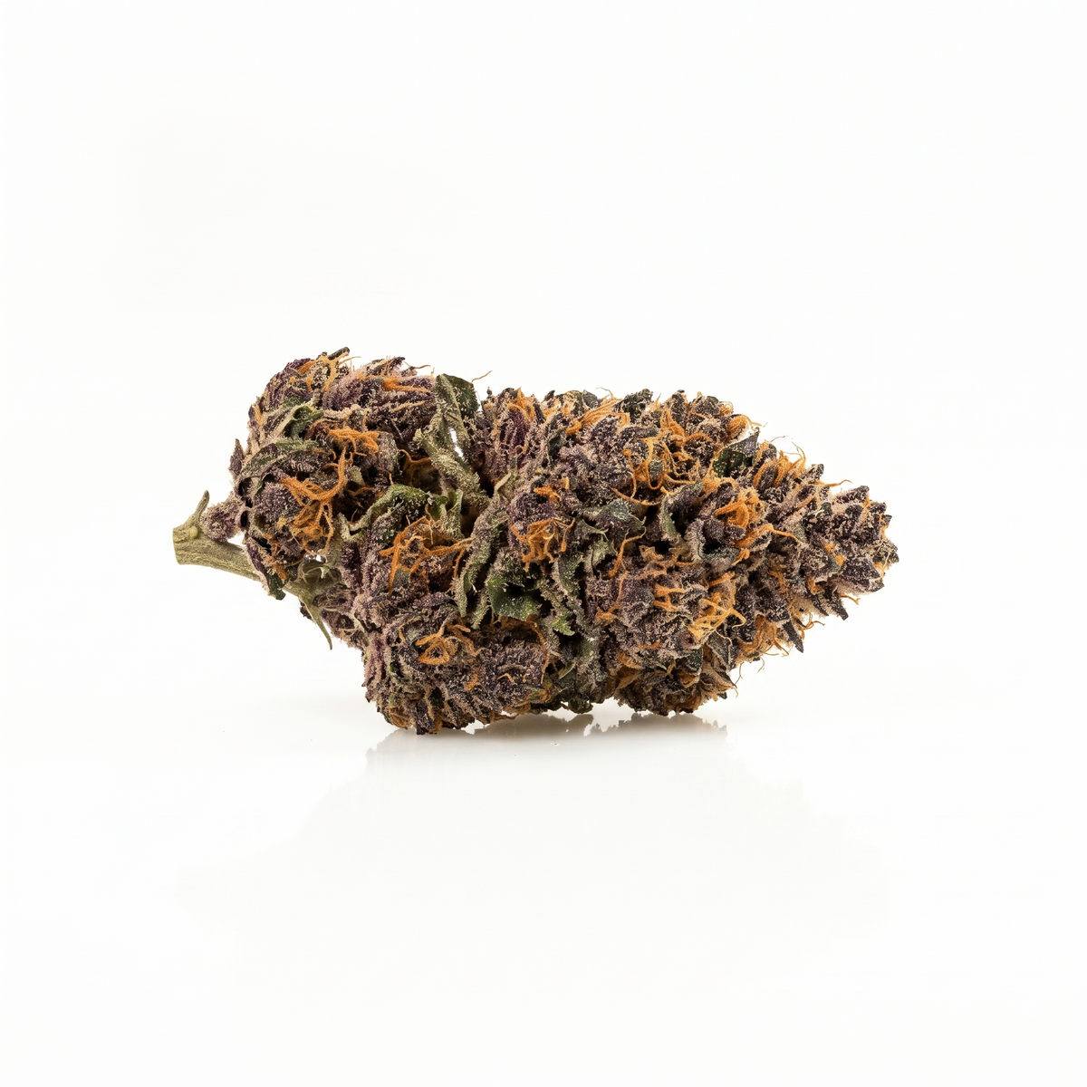 Fleur Purple Haze indoor, têtes violettes aux pistils orange, Piatella