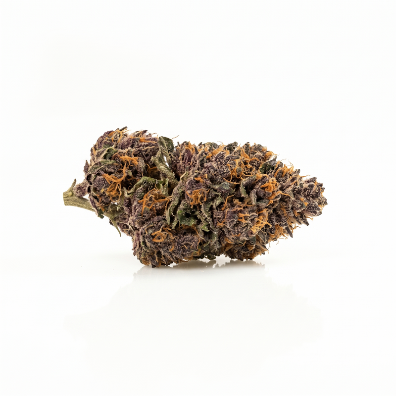 Fleur Purple Haze indoor, têtes violettes aux pistils orange, Piatella