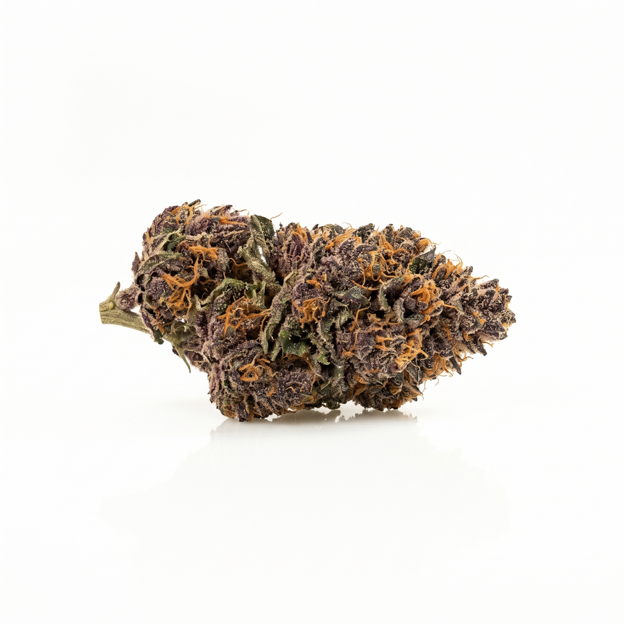 Fleur Purple Haze indoor, têtes violettes aux pistils orange, Piatella