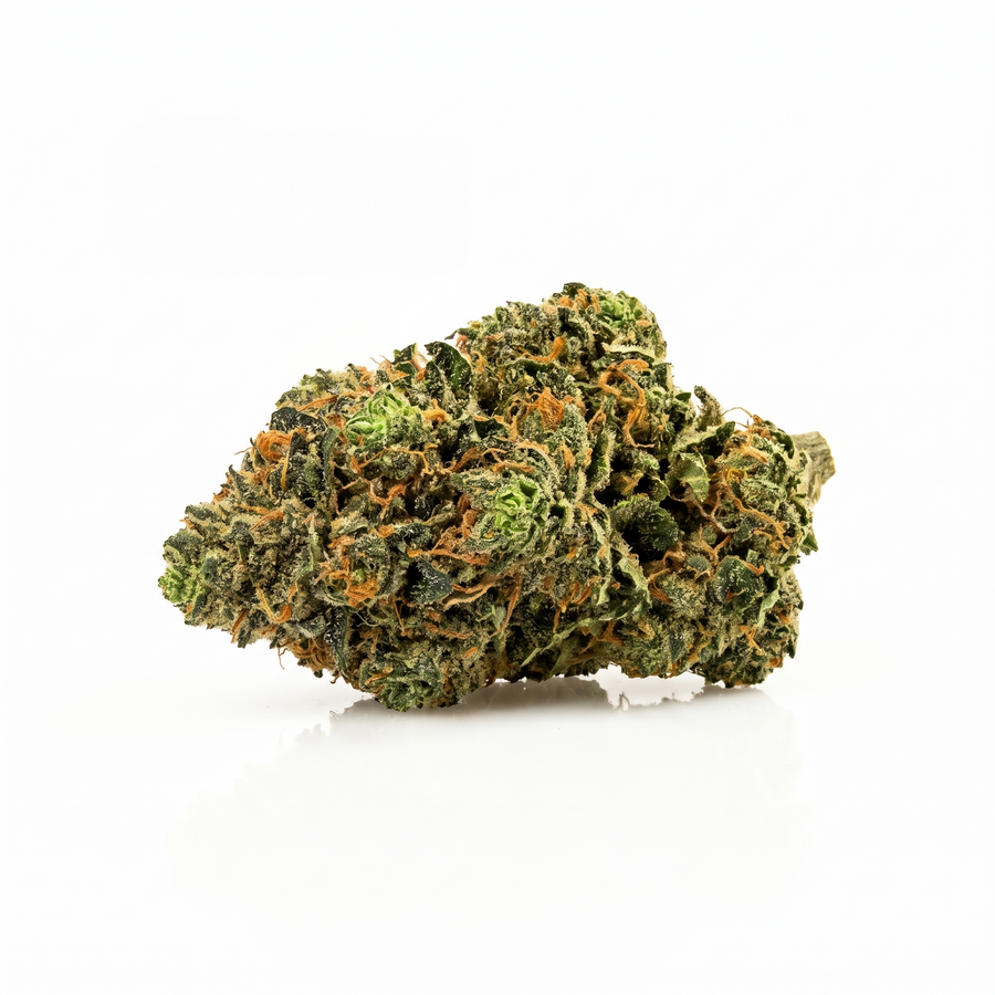 Fleur OG Kush indoor, têtes denses et résineuses, Piatella