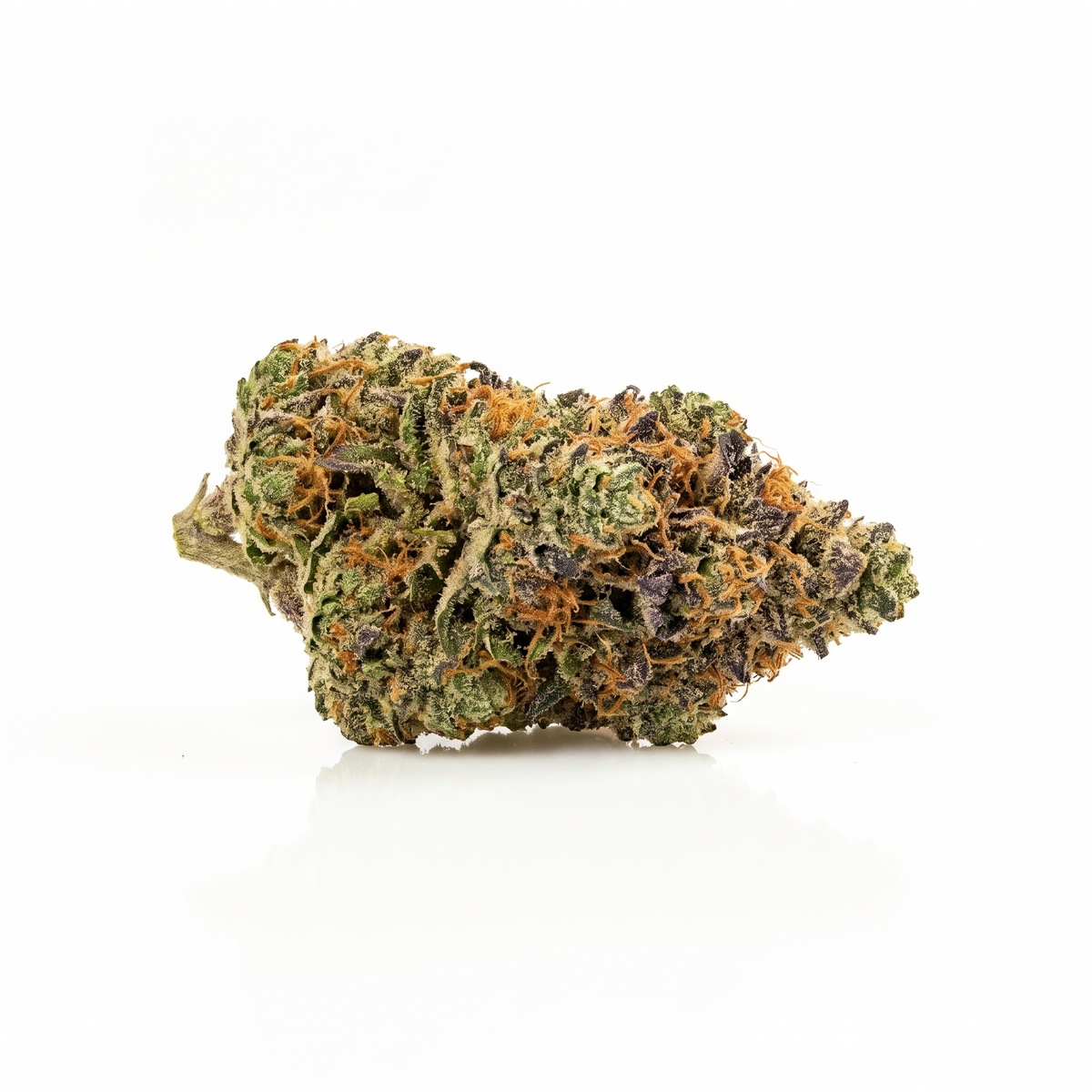 Fleur Super Boof indoor, têtes vertes et pourpres, Piatella