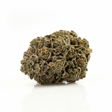 Fleur Gary Payton indoor, têtes compactes vert olive, Piatella
