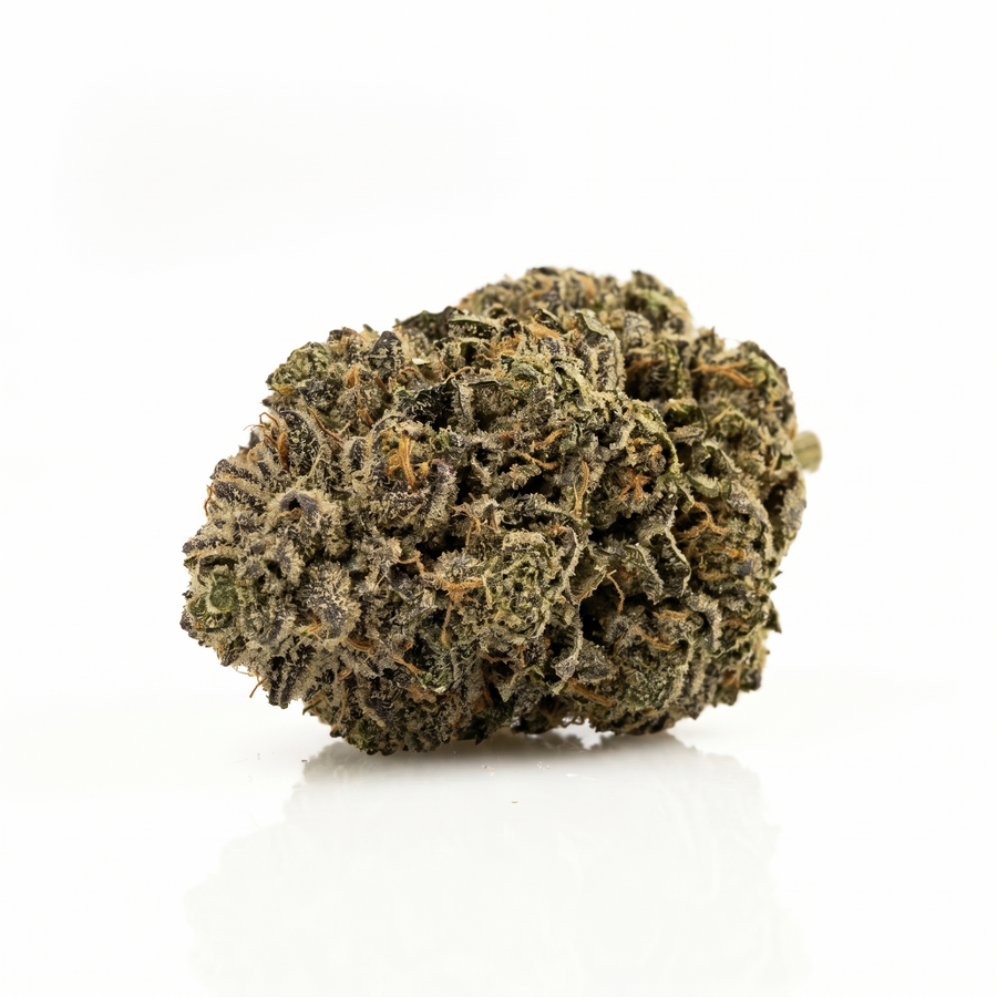 Fleur Gary Payton indoor, têtes compactes vert olive, Piatella