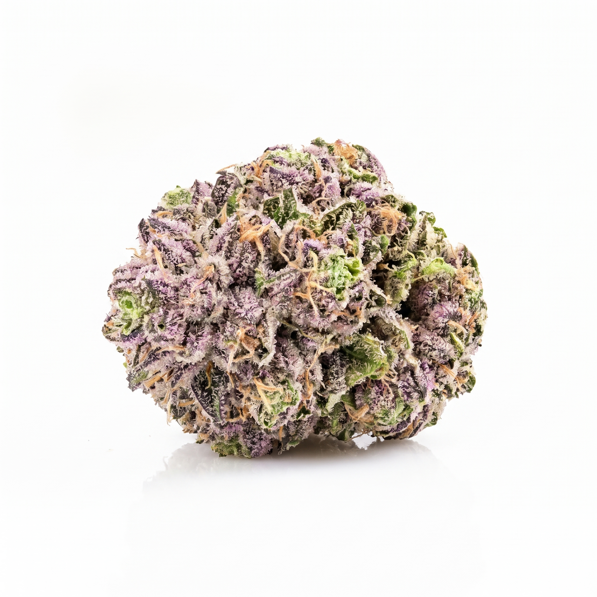 Fleur Zoap indoor, têtes lilas et vert citron, Piatella