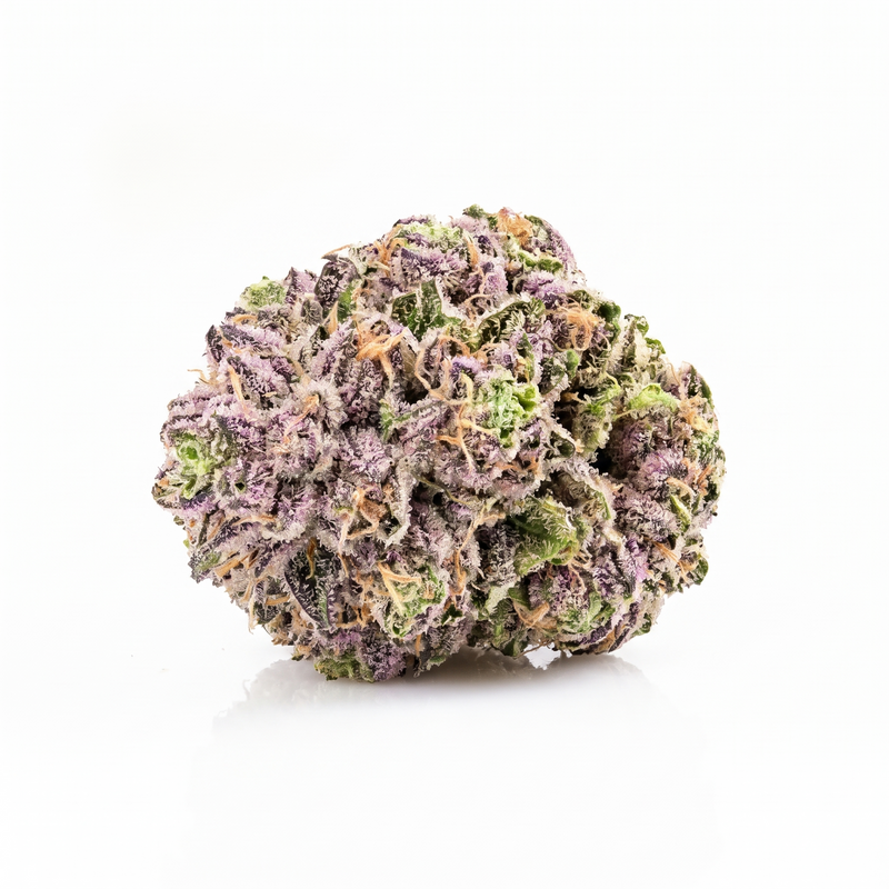 Fleur Zoap indoor, têtes lilas et vert citron, Piatella