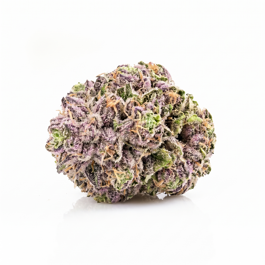 Fleur Zoap indoor, têtes lilas et vert citron, Piatella